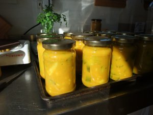 Picallili Picallili