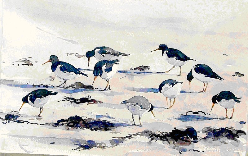 Painting holiday